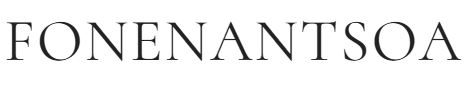 FONENANTSOA-kizil Logo